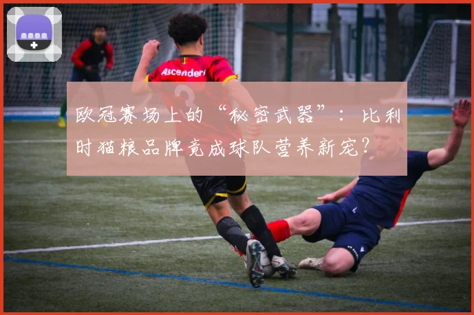 欧冠赛场上的“秘密武器”：比利时猫粮品牌竟成球队营养新宠？