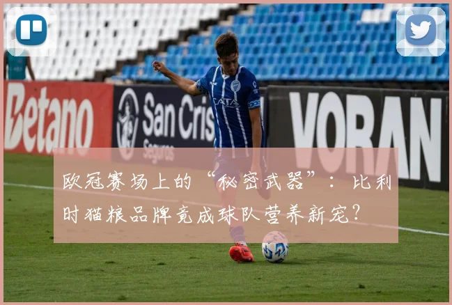 欧冠赛场上的“秘密武器”：比利时猫粮品牌竟成球队营养新宠？