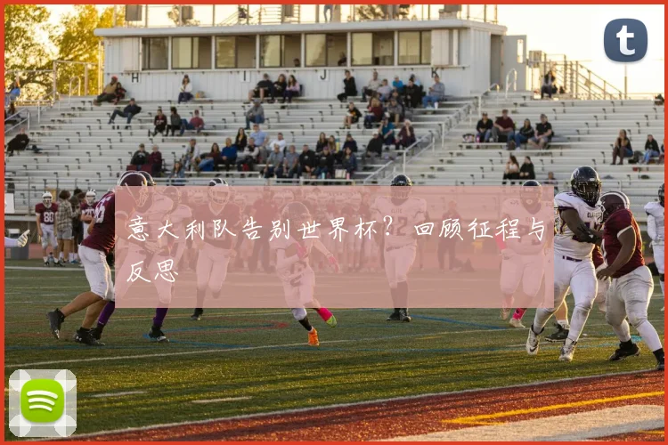 意大利队告别世界杯?回顾征程与反思