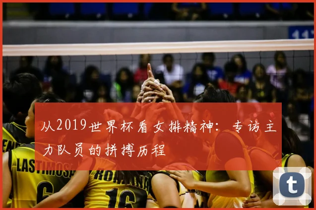 从2019世界杯看女排精神：专访主力队员的拼搏历程