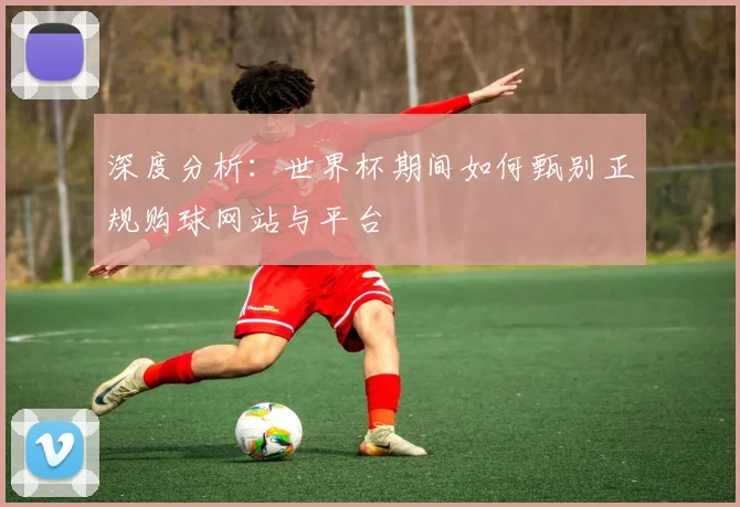 深度分析：世界杯期间如何甄别正规购球网站与平台