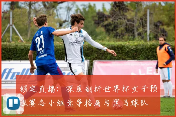 锁定直播：深度剖析世界杯女子预选赛各小组竞争格局与黑马球队