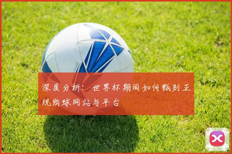 深度分析：世界杯期间如何甄别正规购球网站与平台