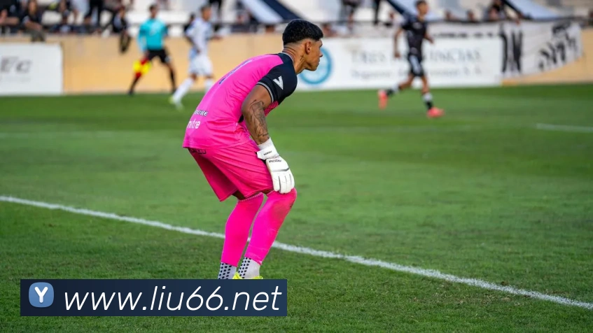 mk官网入口APP 封面图