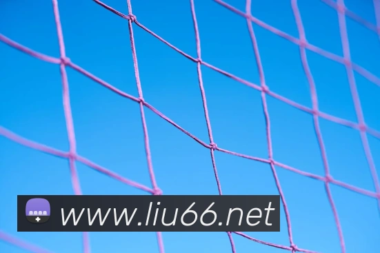 数据防护可视化